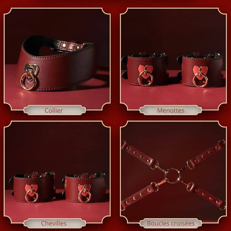 Burgunderrotes Luxusbdsmset