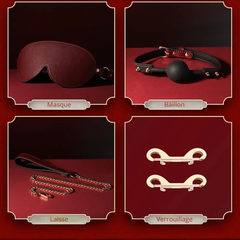 Burgunderrotes Luxusbdsmset