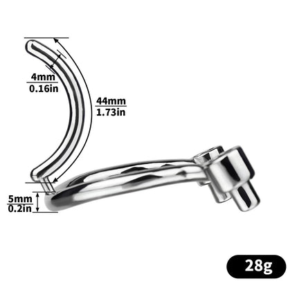 Removable PA Chastity Cage- 12