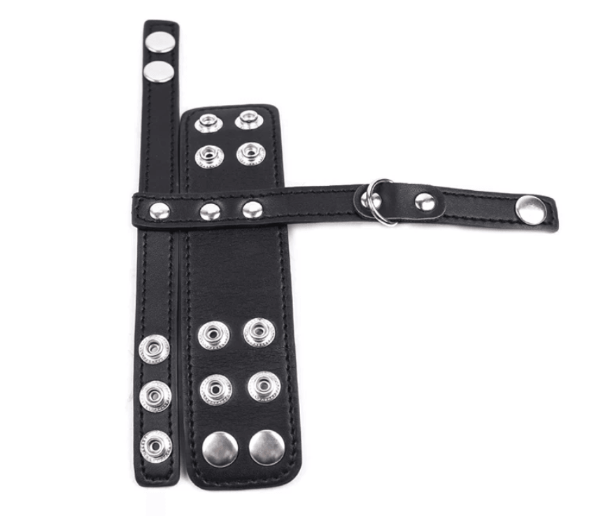 Bondage Käfig mit Trennwand für Hoden – Produktbild