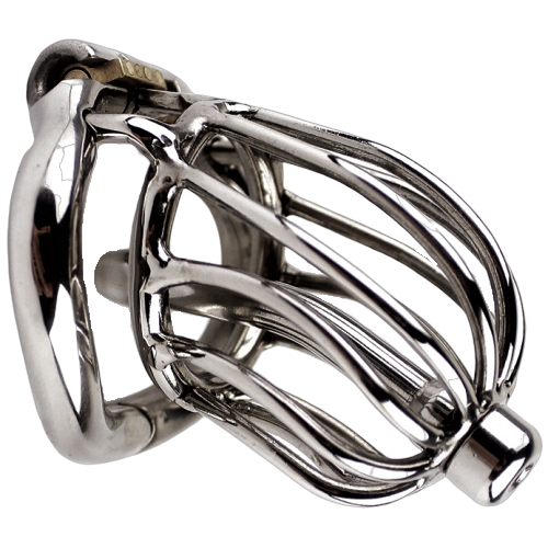 Peniskäfig mit Harnröhrenkatheter - The chrome ball S – Produktbild