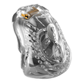 Zurückhaltender Penis-Käfig - XT 200 transparent