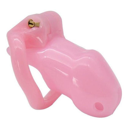 Harz Keuschheitskäfig Mann - GB 3000 Pink – Produktbild