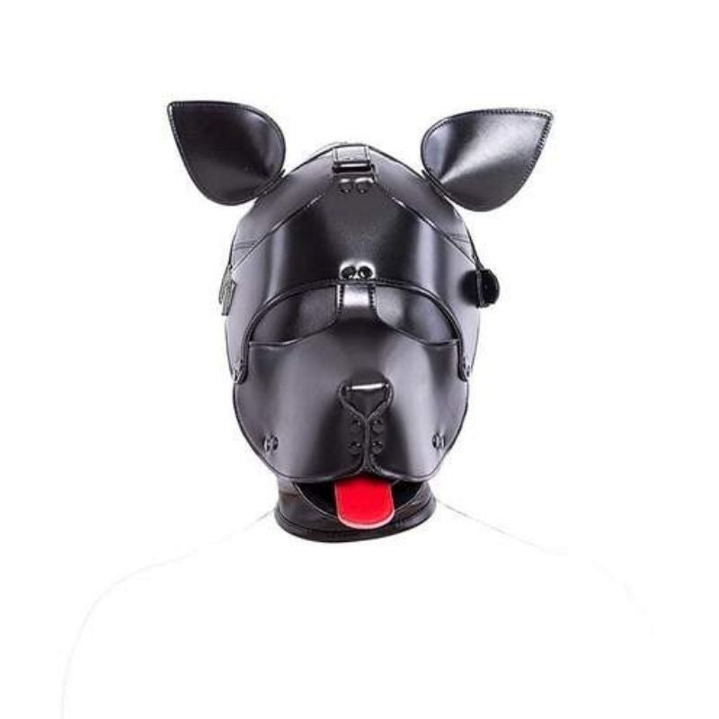 Sm Hundehaube 2 In 1