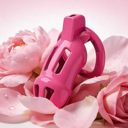 Candy Powder Contract Chastity Cage 1