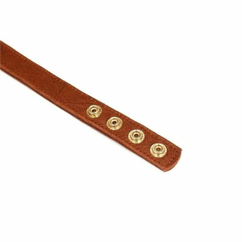 Vintage Nippelklemmen Halsband BDSM