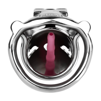 Dolphin Steel Chastity Cage with Anti-ring Removable - 22