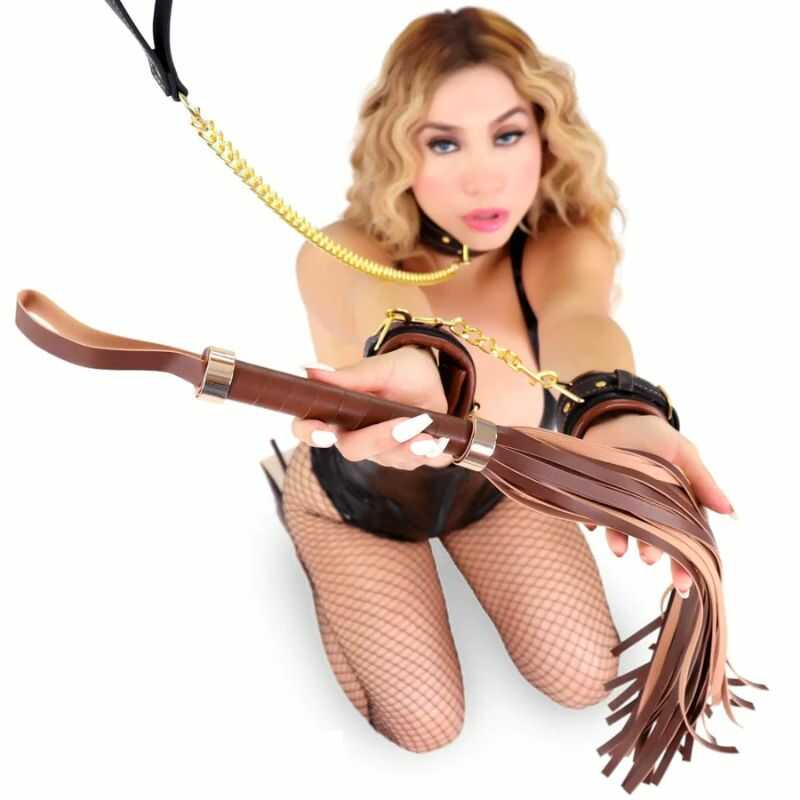BDSM Peitsche Vintage