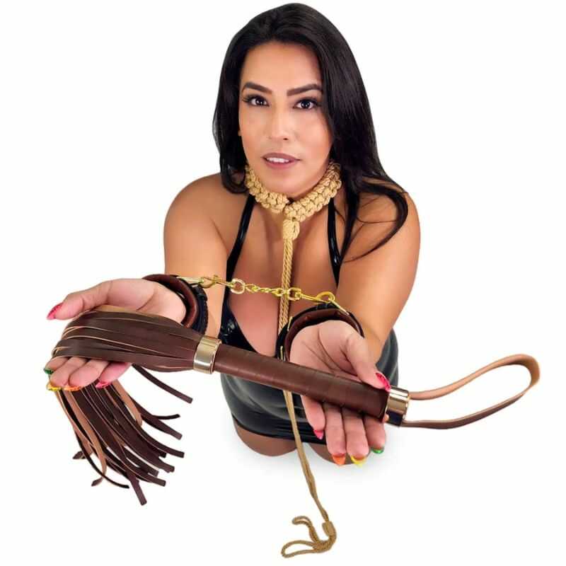 BDSM Peitsche Vintage