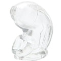 Keuschheitskäfig aus Silikon  Délice Transparent