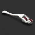 Doppelspitz Pinwheel Rolle