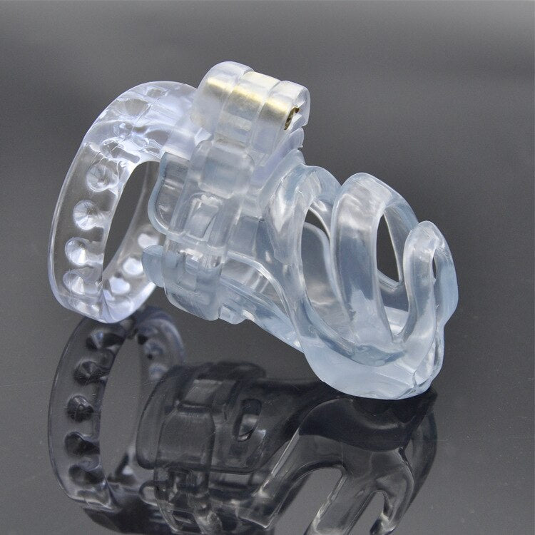 Fürst Albert Piercing Keuschheits-Käfig - PA 100 Transparent – Produktansicht 4