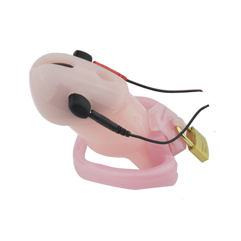 Elektrischer Peniskäfig Mann - Holy Trainer G2