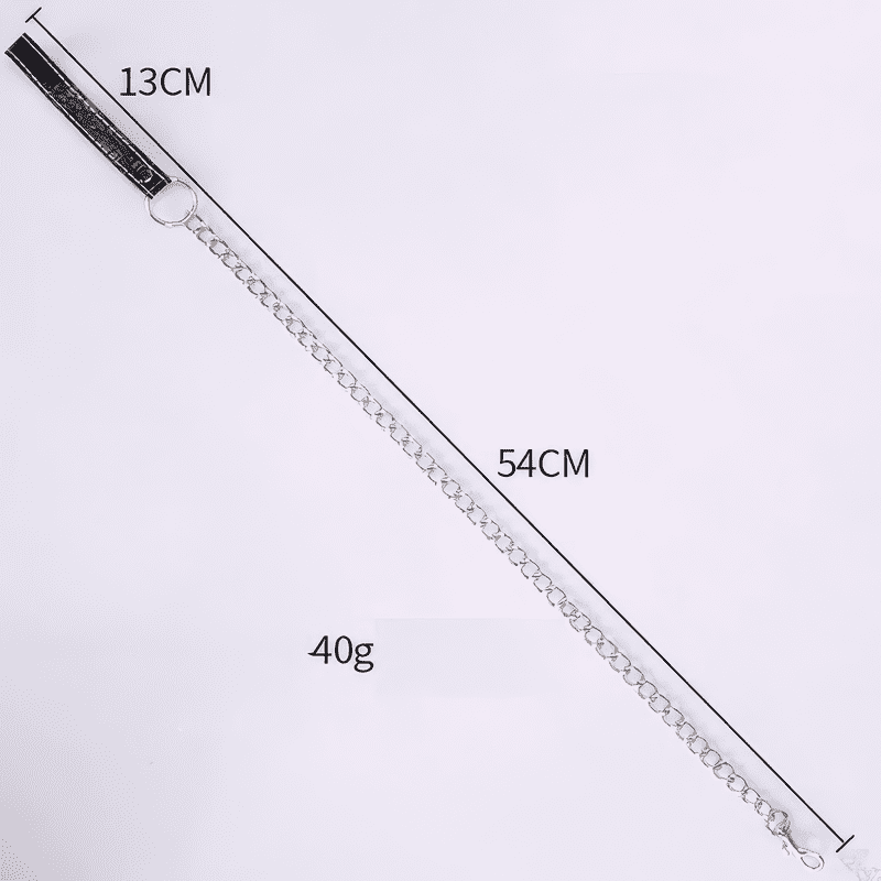 Metall bdsm halsband + Leine