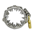 Spiked Cockring Peniskäfig