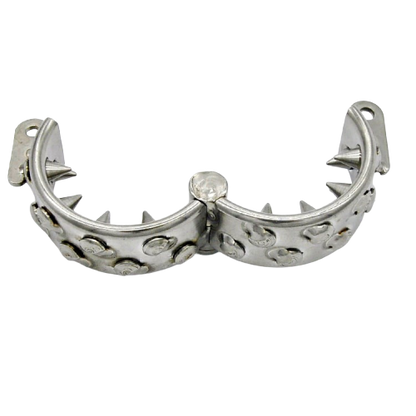 Spiked Cockring Peniskäfig – Produktansicht 2